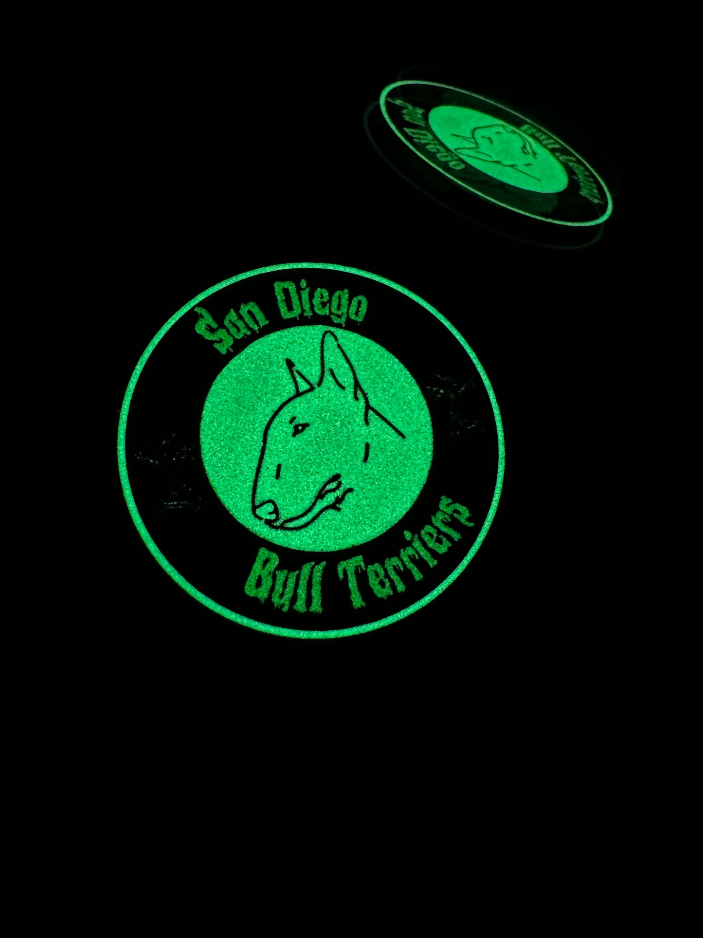 SDBT Halloween '24 - Pin